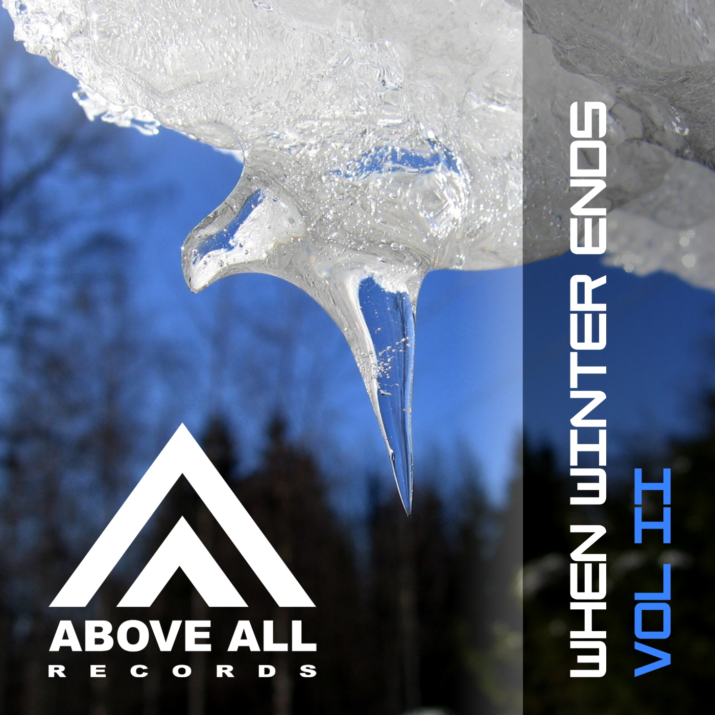 When Winter Ends Vol.2 V/A Above All Records